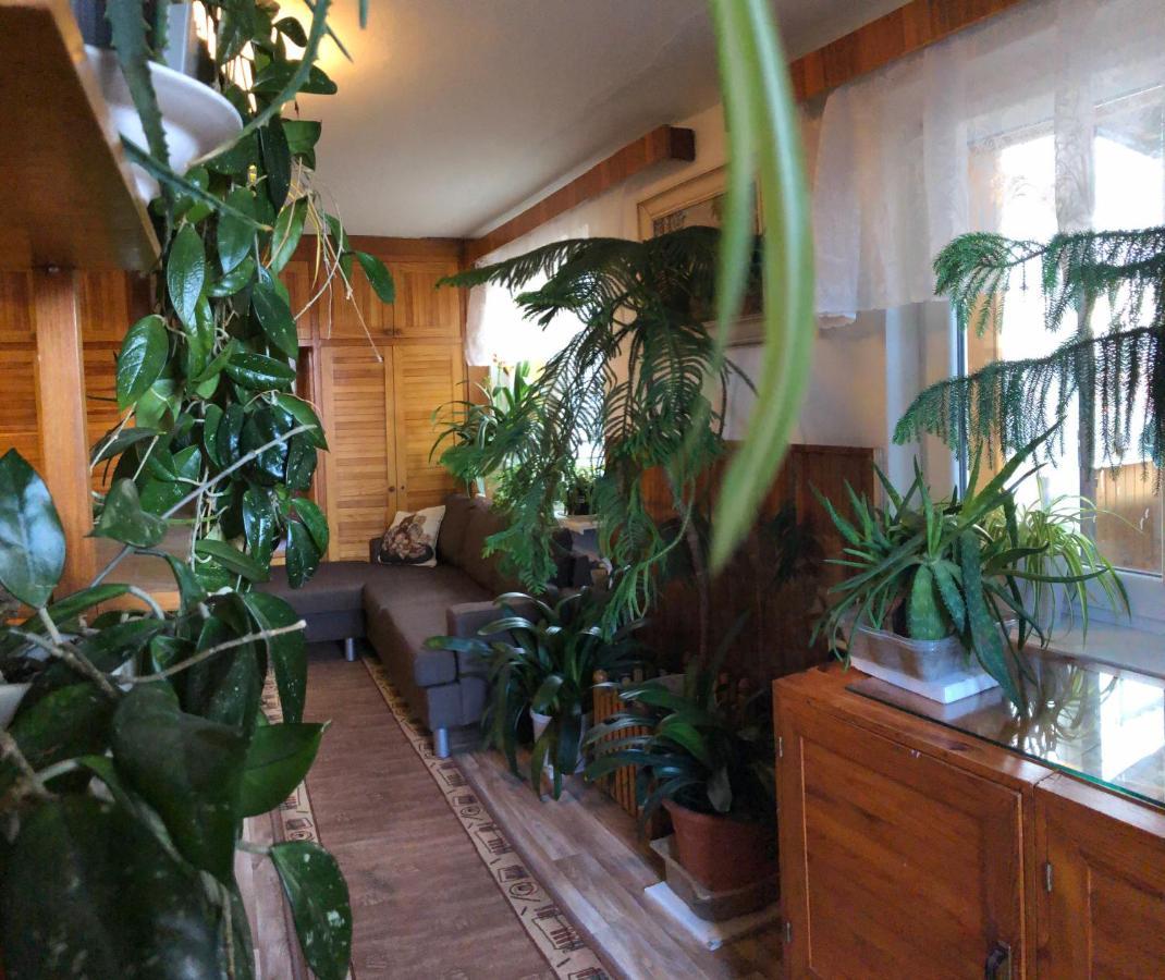 Apartman Olesnik Leilighet Eksteriør bilde